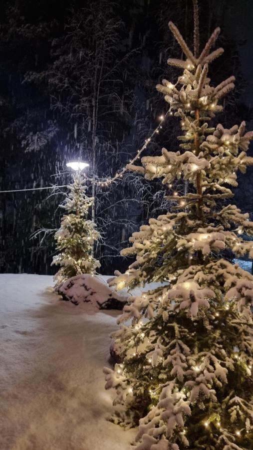 Asikkalan Motelli Vesivehmaa Exteriér fotografie