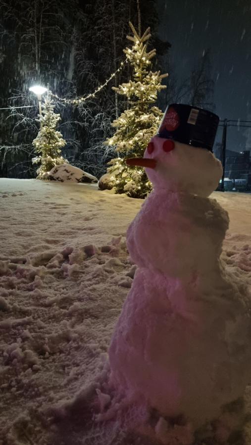 Asikkalan Motelli Vesivehmaa Exteriér fotografie
