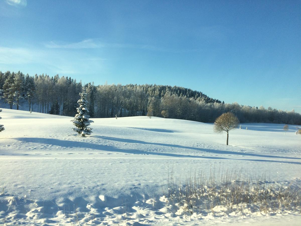 Asikkalan Motelli Vesivehmaa Exteriér fotografie